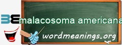 WordMeaning blackboard for malacosoma americana